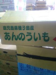 ADSFASDFASFASDF
