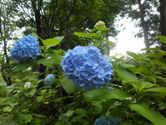 2kinao270623