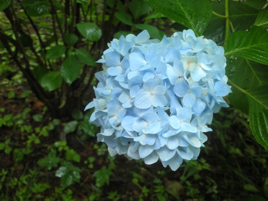 3kin270619