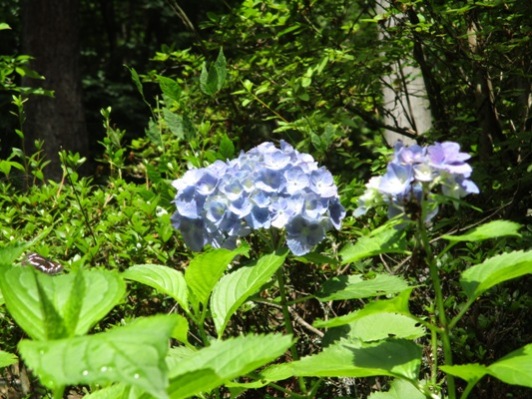 a10300624