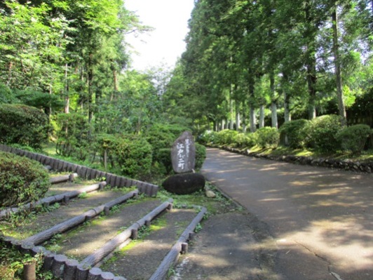 aji1020702