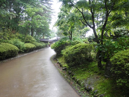 aji1280517