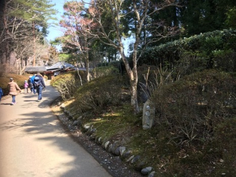 aji1290327