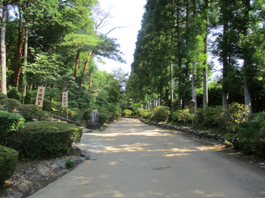 aji12907009