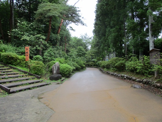 aji1290704