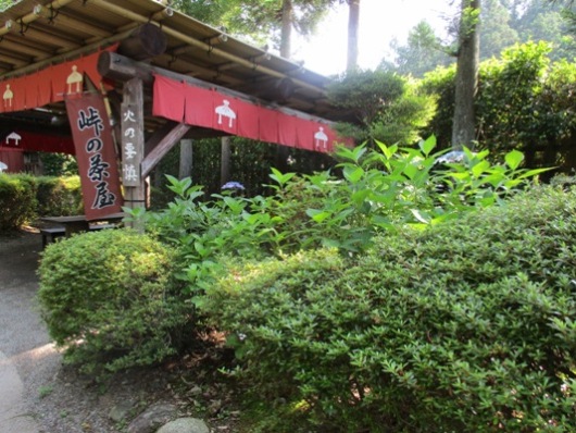 aji18290709