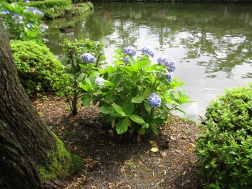 aji2010804
