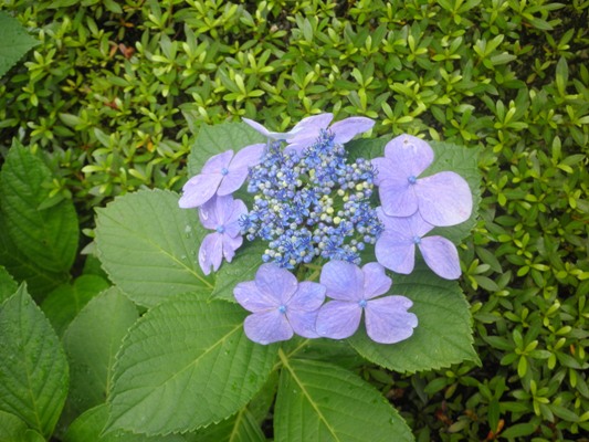 aji4gaku270707