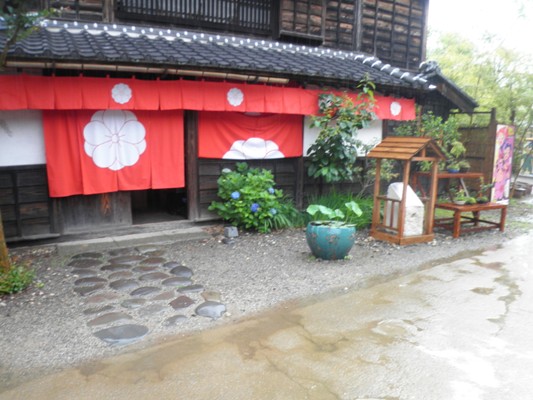 aji9280623