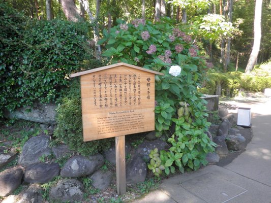 ajien261001