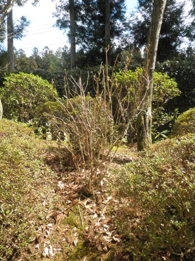 ajien270325