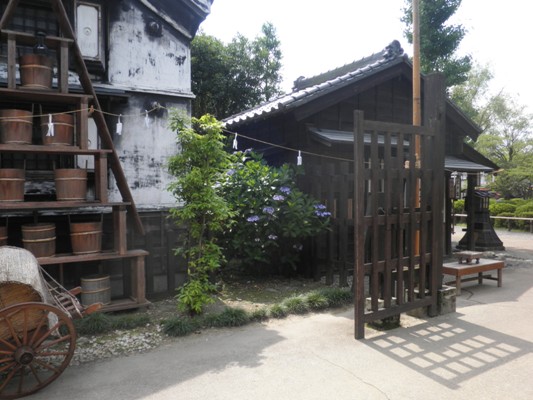 ajikidoen270713