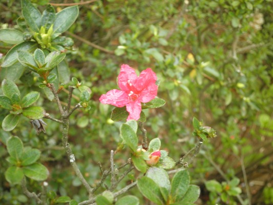akakin270423