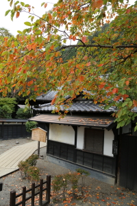 aki2301010