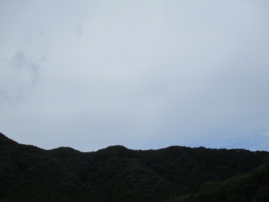 aora290930