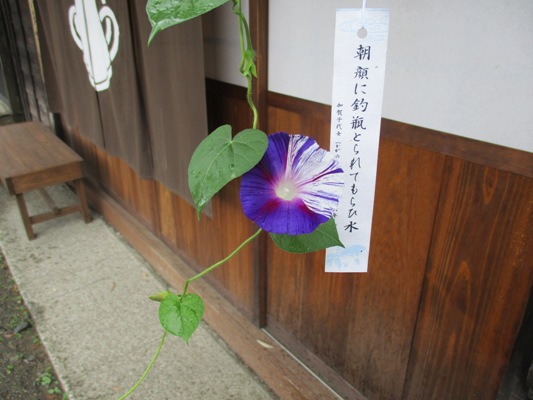 asa5290727