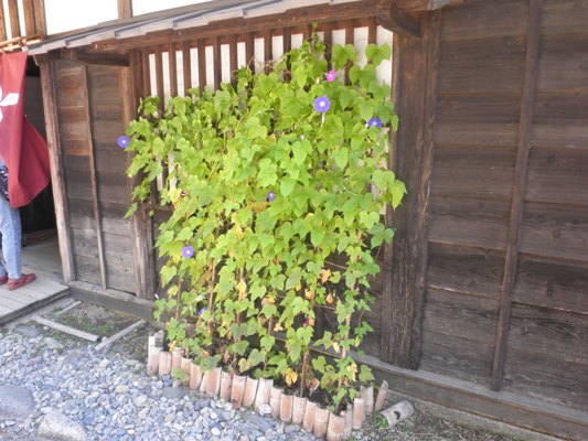asaen261001