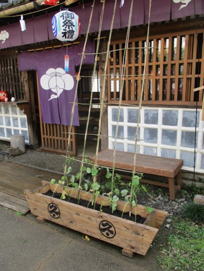 asagao290810