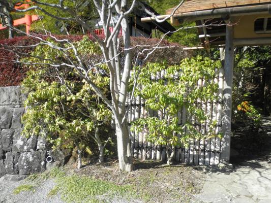 asebi2280318
