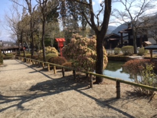 asibi2290401