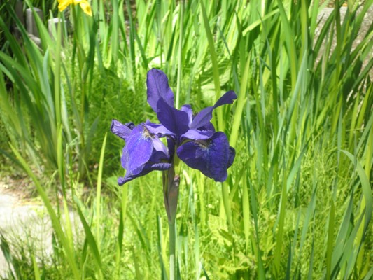 ayakinke270511