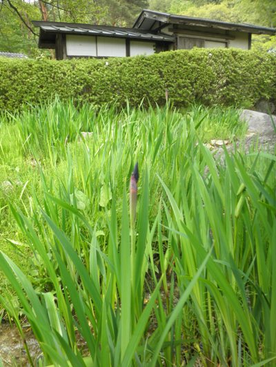 ayame280507