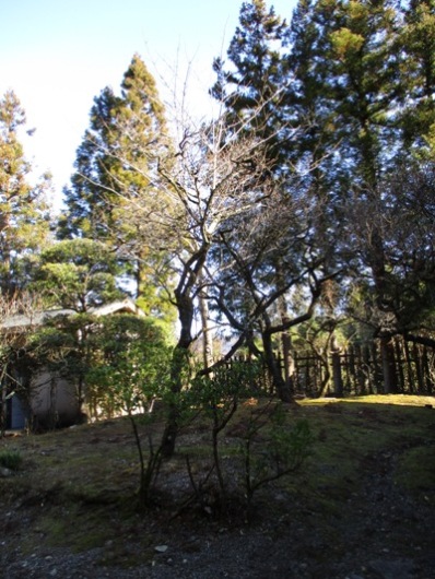 bai020103