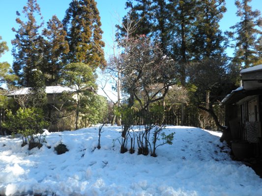 bai1280121
