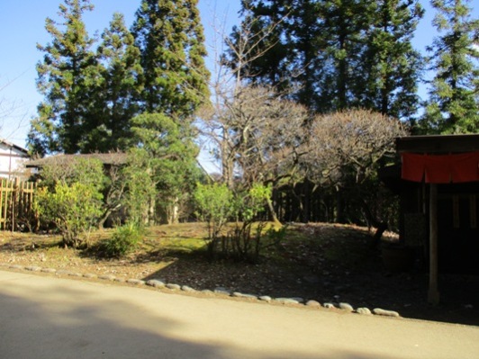 baien1291201