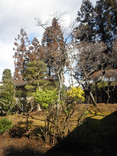 baikin270123