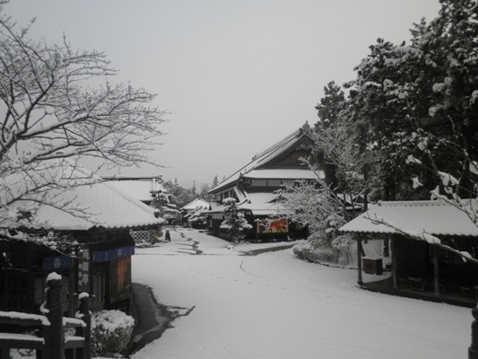 bukeya270215