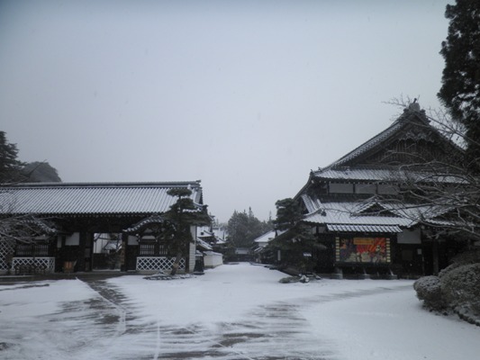 bukeya290114