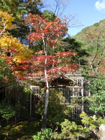 cha2011117