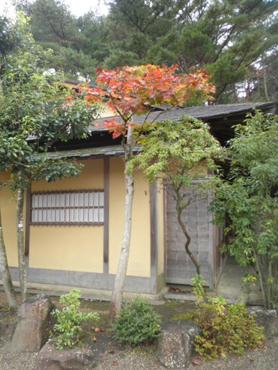 cha2281101