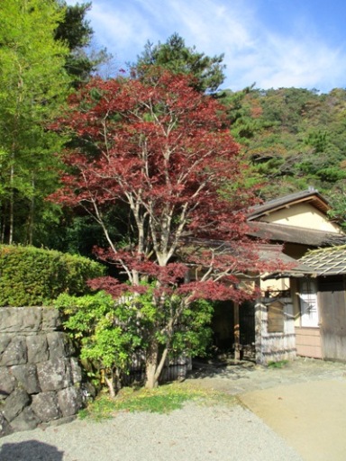cha2291109