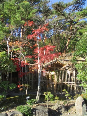 cha2291116