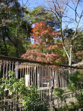 cha5011117