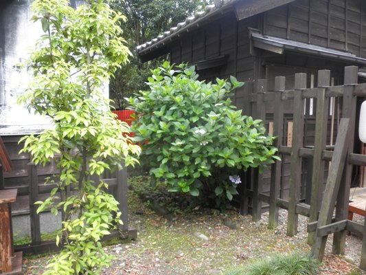 chaen270624