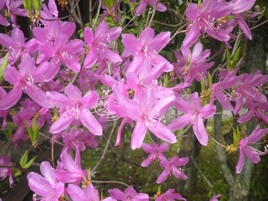 chtukin270427