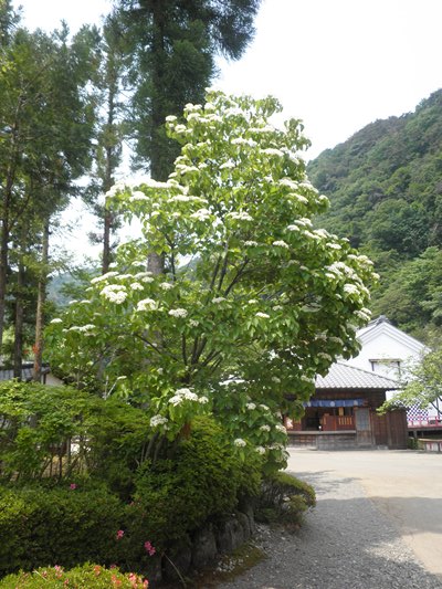 daien270602