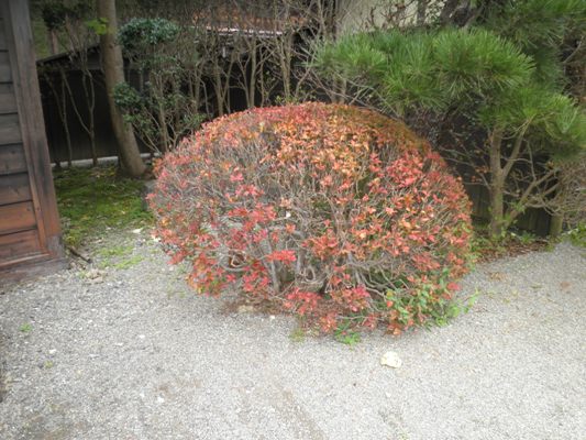 doudan2281028