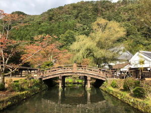 edo1301019