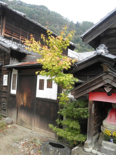 edo2271021
