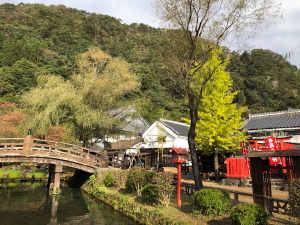 edo2301019