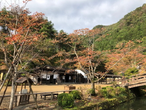 edo3301019