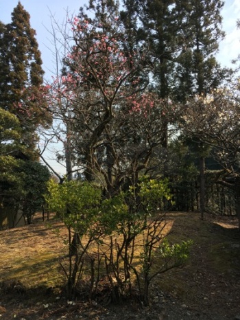 en3290320