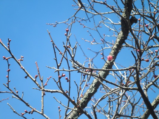 eniti270123