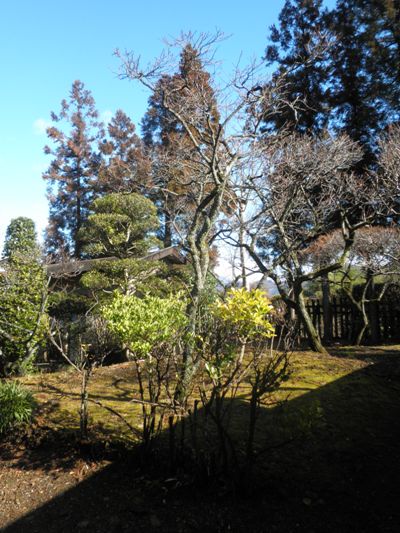 ennaka270128