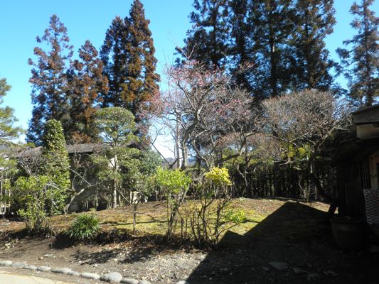 enzen270310