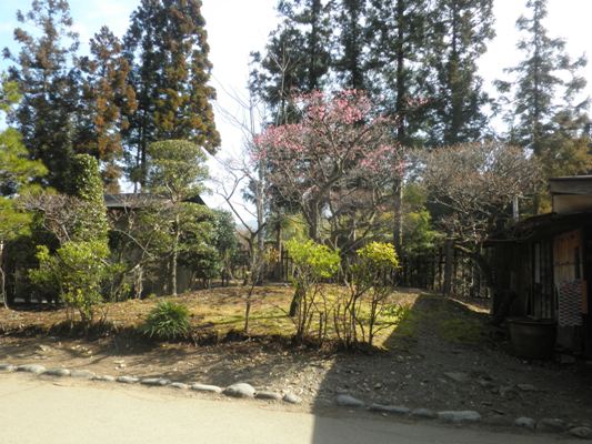 enzen270318